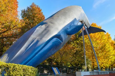 Ulusal Müzesi doğa ve bilim