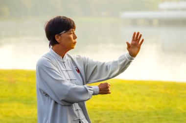 bir grup insan pratik Tai Chi Chuan bir parkta