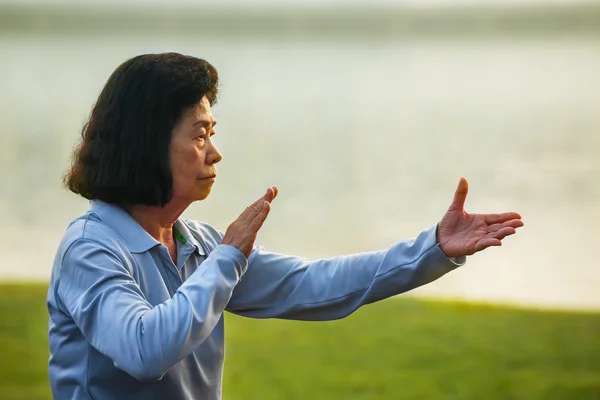 Bir grup insan pratik Tai Chi Chuan bir parkta — Stok fotoğraf