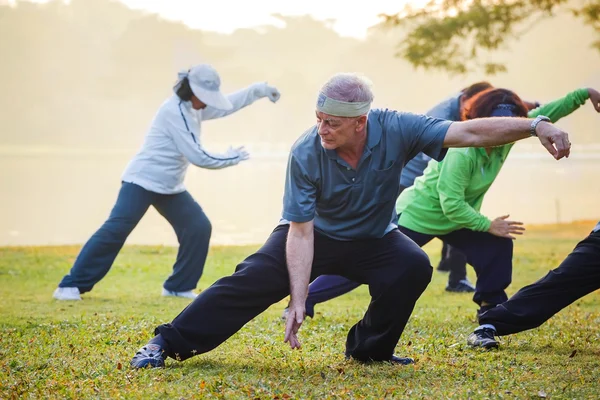 Grupp människor träna Tai Chi Chuan i en park — Stockfoto