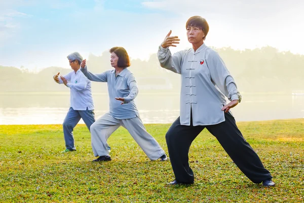 Grupp människor träna Tai Chi Chuan i en park — Stockfoto