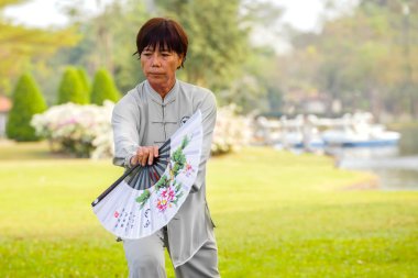 insanların pratik Tai Chi Chuan bir park Çin kılıçla grup