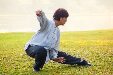  bir grup insan pratik Tai Chi Chuan bir parkta