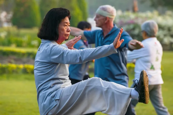Grupp människor träna Tai Chi Chuan i en park — Stockfoto