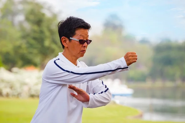 Menschen üben tai chi chuan in einem Park — Stockfoto