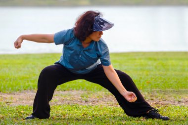 Tai Chi Chuan bir parkta insanların pratik