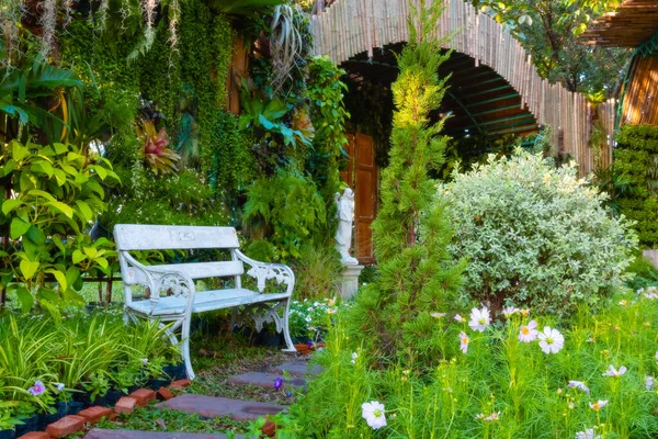 Beau Paysage Jardin Avec Des Plantes Des Arbres — Photo