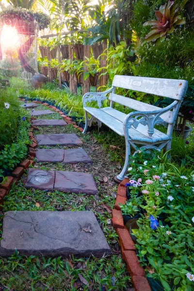 Bellissimo Paesaggio Giardino Con Piante Alberi — Foto Stock