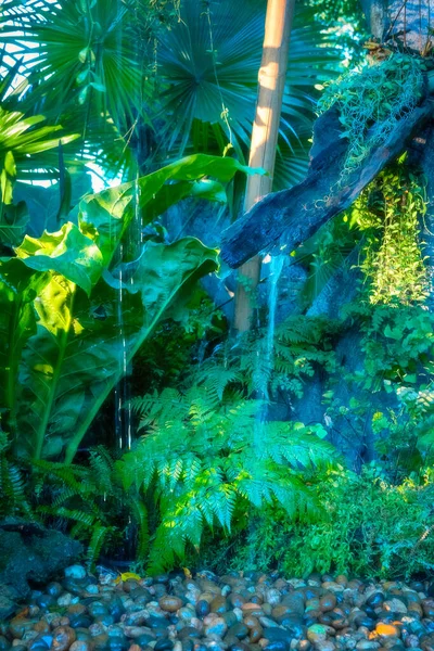 Uma Bela Paisagem Jardim Com Plantas Árvores — Fotografia de Stock