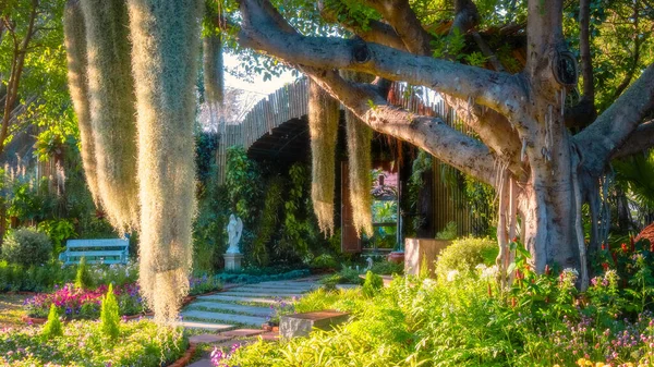 Schöne Gartenlandschaft Mit Pflanzen Und Bäumen — Stockfoto