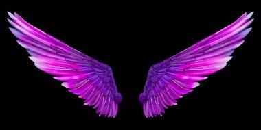 Kara Fantezi Kanatlarının Üç Boyutlu Hazırlanması