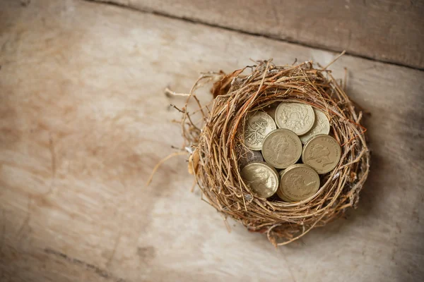 Kuş yuvası ve kırık yumurta ile İngiliz Lirası paraları — Stok fotoğraf