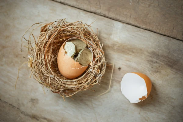 British Pound Coins with Bird Nest and Broken egg — Stock Photo, Image