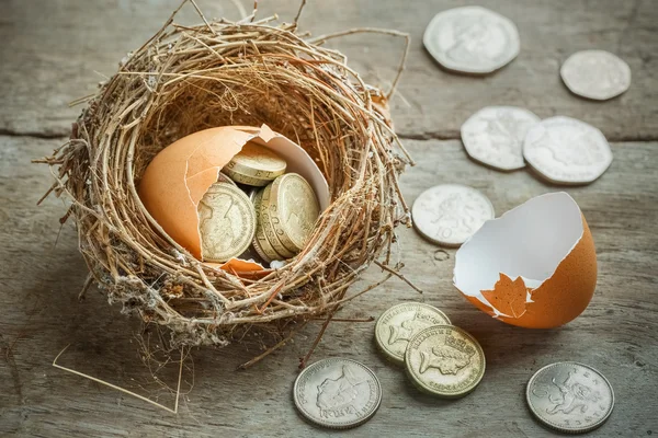 새 둥지와 깨진된 달걀과 영국 파운드 동전 — 스톡 사진