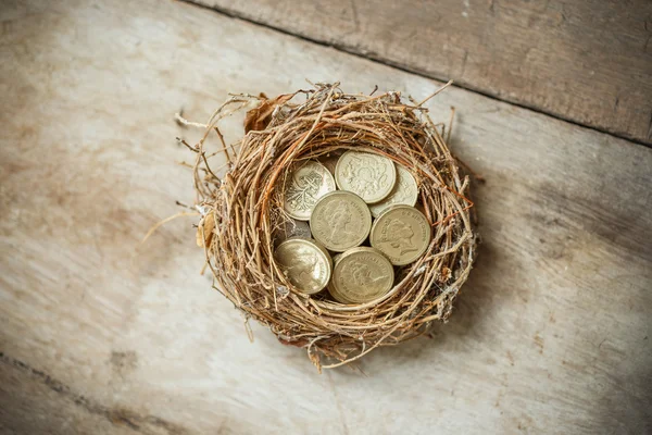 Brittiska pund mynt med fågelbo och trasiga ägg — Stockfoto