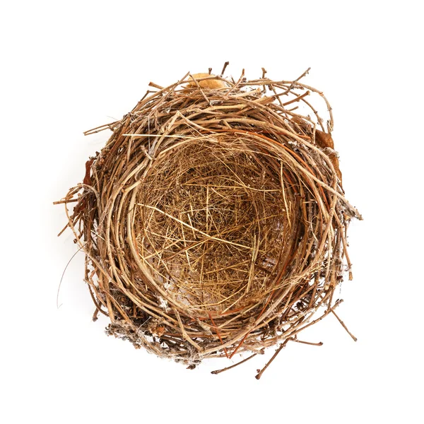 beyaz izole kuş yuvası