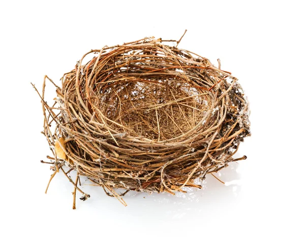 Geïsoleerde vogel nest op wit — Stockfoto