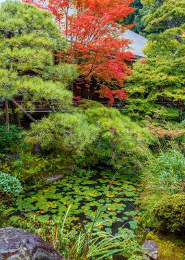 Eikando Zenrin-ji Tapınağı: Kyoto, Japan