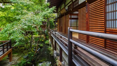Eikando Zenrin-ji Tapınağı: Kyoto, Japan