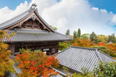 Eikando Zenrin-ji Tapınağı: Kyoto, Japan