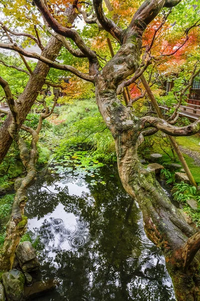 Eikando Zenrin-ji Rozciągacz w Kioto, Japonia — Zdjęcie stockowe