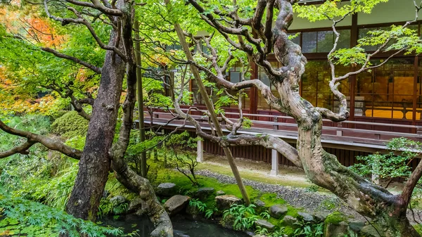 Eikando Zenrin-ji Rozciągacz w Kioto, Japonia — Zdjęcie stockowe