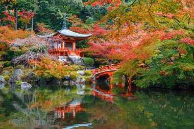 Kyoto, Japonya Daigoji Tapınağı'nda erken sonbahar