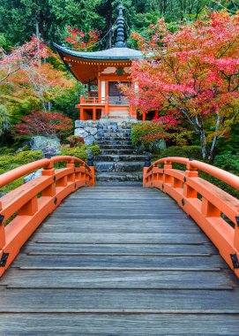 Kyoto, Japonya Daigoji Tapınağı'nda erken sonbahar