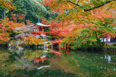 Kyoto, Japonya Daigoji Tapınağı'nda erken sonbahar