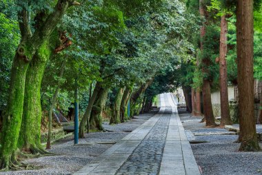 Daitoku-ji Tapınağı: Kyoto, Japan