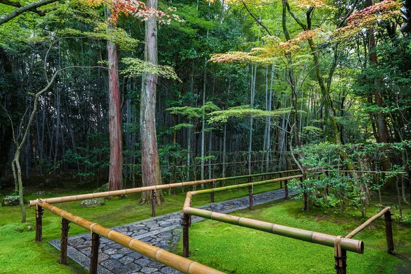 筝在寺庙，在京都大德子寺之一 — 图库照片