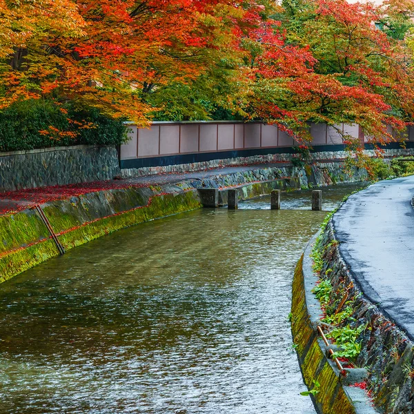 Jesień w Kioto — Zdjęcie stockowe
