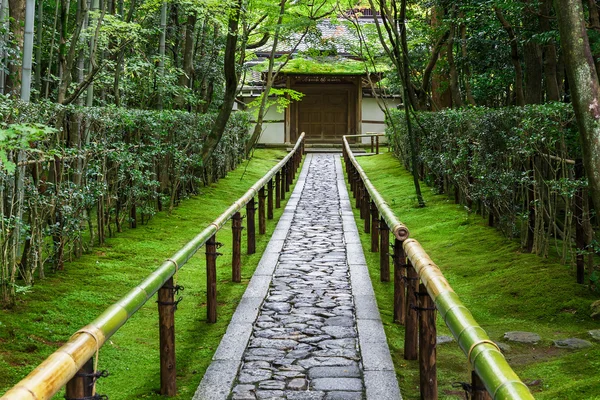 Koto w świątyni w Kyoto, Japonia — Zdjęcie stockowe