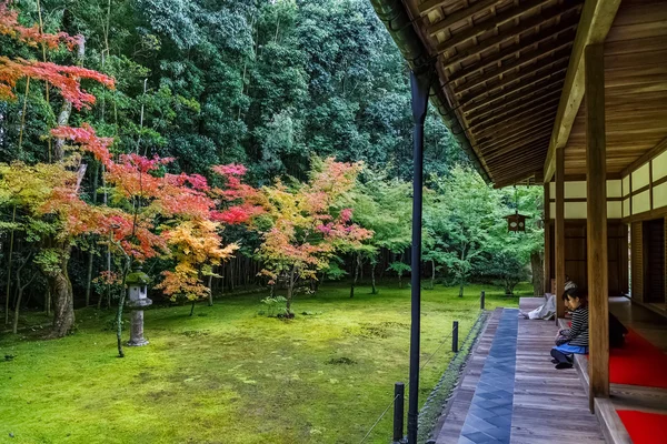 Koto w świątyni w Kyoto, Japonia — Zdjęcie stockowe