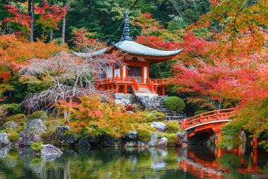Kyoto, Japonya Daigoji Tapınağı'nda erken sonbahar