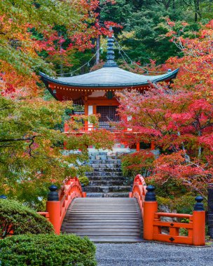 Kyoto, Japonya Daigoji Tapınağı'nda erken sonbahar