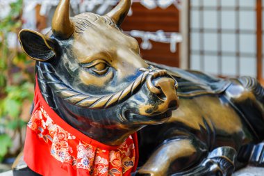 Gosingyu (Tanrı'nın öküz) önünde Nishiki tapınak shrinein Kyoto