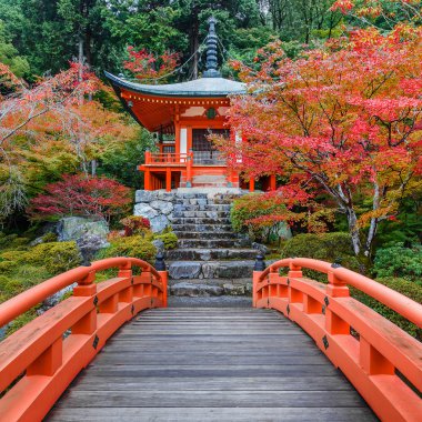Kyoto, Japonya Daigoji Tapınağı'nda erken sonbahar