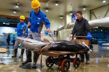 Osaka Merkez Toptan pazarı