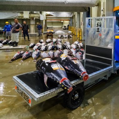 Osaka Merkez Toptan pazarı