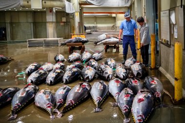 Osaka Central Wholesale Market in Osaka
