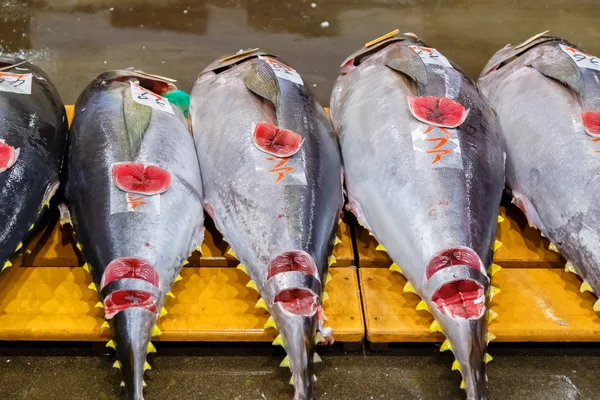 Osaka Mercado Central Mayorista en Osaka —  Fotos de Stock