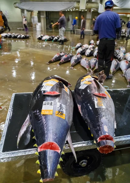 Osaka Mercado Central Mayorista — Foto de Stock