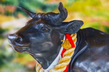 Gosingyu (Tanrı'nın öküz) Kobe, Japonya