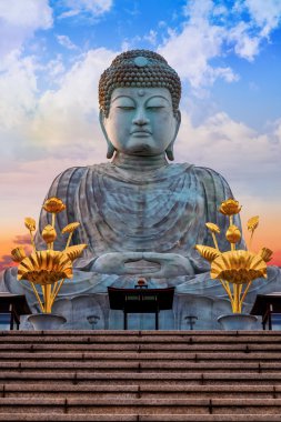 Hyogo Daibutsu - Kobe, Japonya Nofukuji Tapınağı'nda büyük Buda