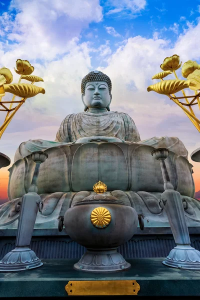 Hyogo Daibutsu - The Great Buddha at Nofukuji Temple in Kobe, Japan — Stock Photo, Image