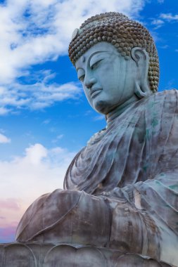 Hyogo Daibutsu - Kobe, Japonya Nofukuji Tapınağı'nda büyük Buda