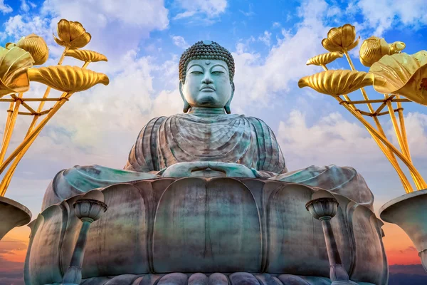 Hyogo Daibutsu - Kobe, Japonya Nofukuji Tapınağı'nda büyük Buda — Stok fotoğraf