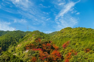 View of Moutains on the way to Koyasan in wakayama, Japan clipart