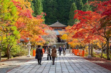 Eireiden Tapınağı, Wakayama (Mt. Koya) Koyasan mezarlık bulunduðu